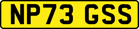 NP73GSS