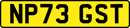 NP73GST