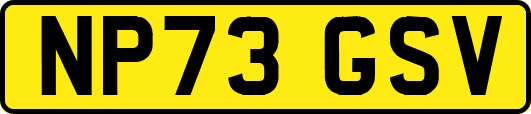 NP73GSV