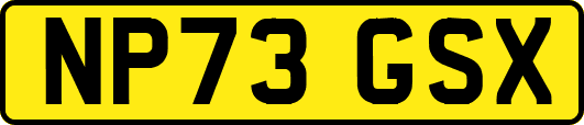 NP73GSX