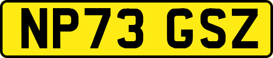 NP73GSZ