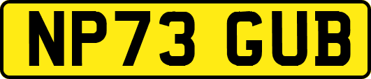 NP73GUB