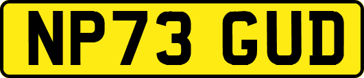 NP73GUD