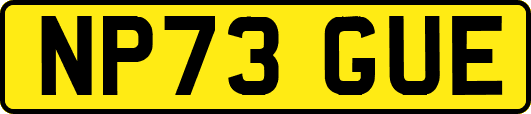 NP73GUE