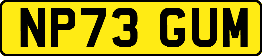 NP73GUM