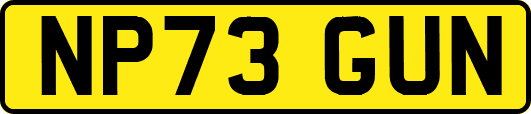 NP73GUN