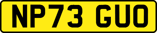 NP73GUO