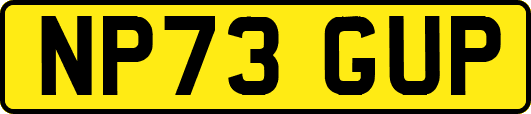 NP73GUP