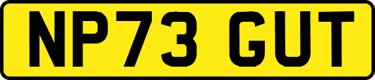 NP73GUT