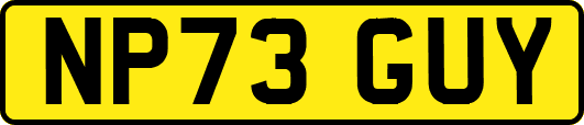 NP73GUY