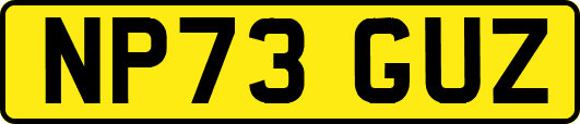 NP73GUZ