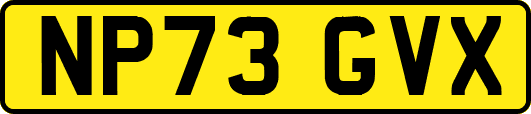 NP73GVX
