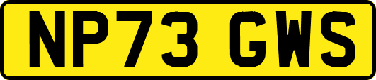 NP73GWS
