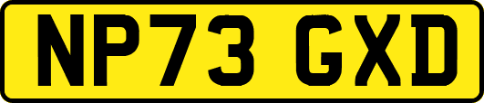 NP73GXD