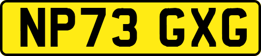 NP73GXG