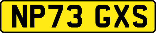 NP73GXS