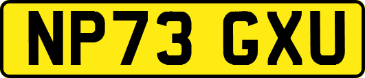 NP73GXU