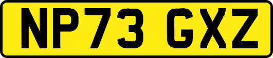 NP73GXZ
