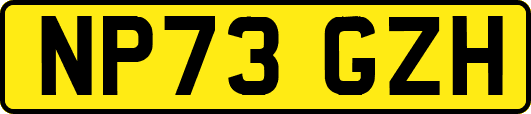 NP73GZH