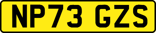 NP73GZS