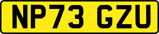 NP73GZU