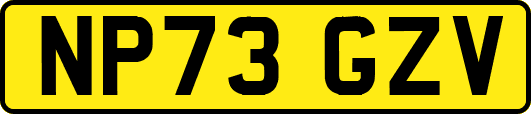 NP73GZV