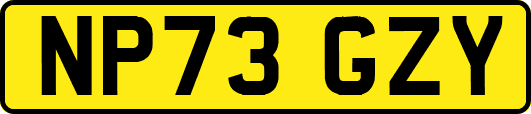 NP73GZY
