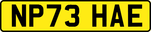 NP73HAE