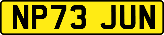NP73JUN