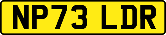 NP73LDR