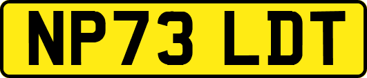 NP73LDT