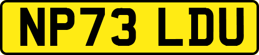 NP73LDU