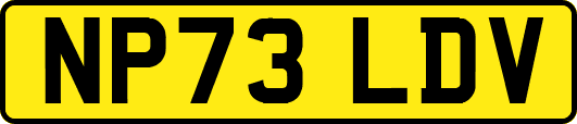 NP73LDV