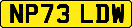 NP73LDW