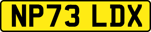 NP73LDX