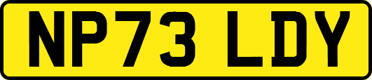 NP73LDY