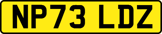 NP73LDZ