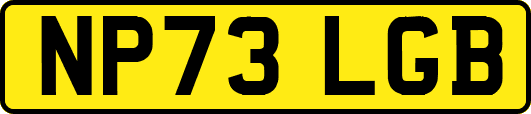 NP73LGB