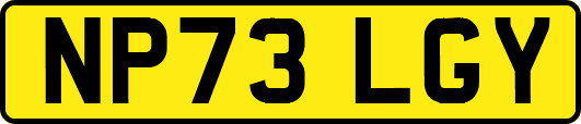NP73LGY