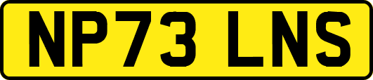 NP73LNS