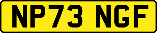 NP73NGF
