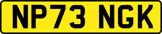 NP73NGK