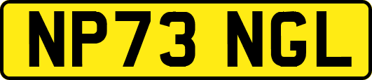 NP73NGL