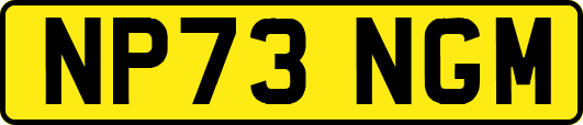 NP73NGM