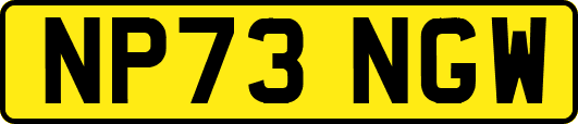 NP73NGW