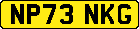NP73NKG