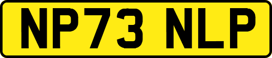 NP73NLP