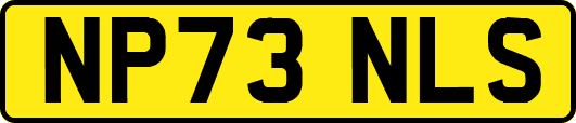 NP73NLS