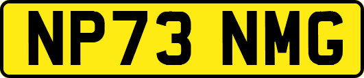 NP73NMG