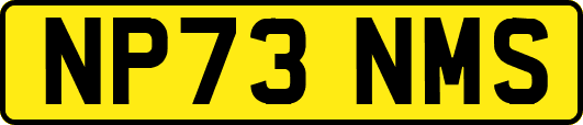 NP73NMS